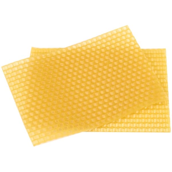 50 pcs Beekeeping Beehive Honeycomb Foundation Frame Garden Tool