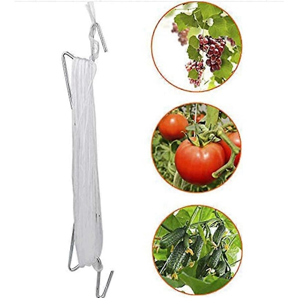 Tomatkrok Rulltrådskrok Tomatkrok Vinstockskrok Växthusväxtkrok 10 st