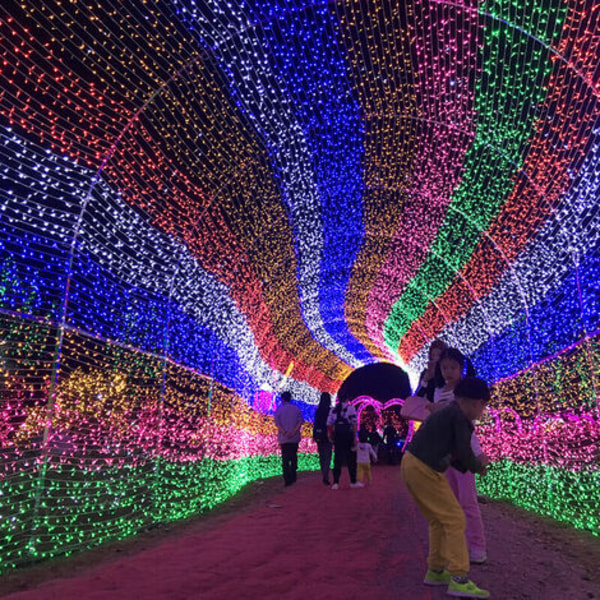 Ljusslinga 100m 1000Led Ljusslinga Julgransdekorationer Inomhus Julgirlang för Utomhusträdgård Vattentät