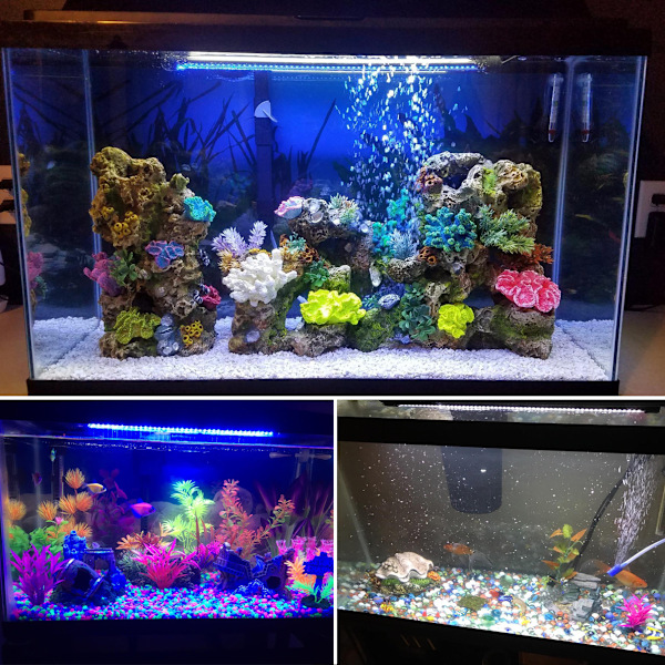 Akvarielys Under Vand, Neddykkelig LED-Bar Fiskelampe i Blå Hvid Farve Vandafvisende med Styring og Timer til Fiskekum, 19 cm, 3.6W