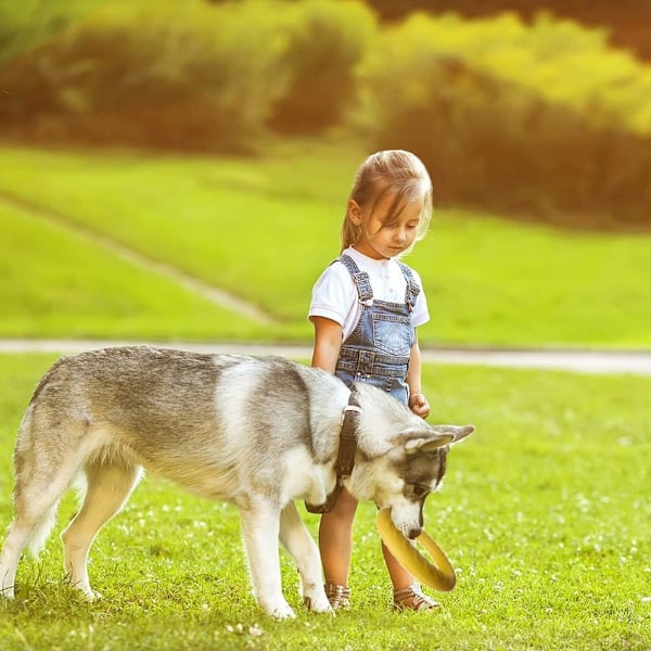29cm Hund Leksak Ring Leksak Interaktiv Flytande Ring Hund Leksak Oförstörbar för Hundar för Valp till Små Hundar