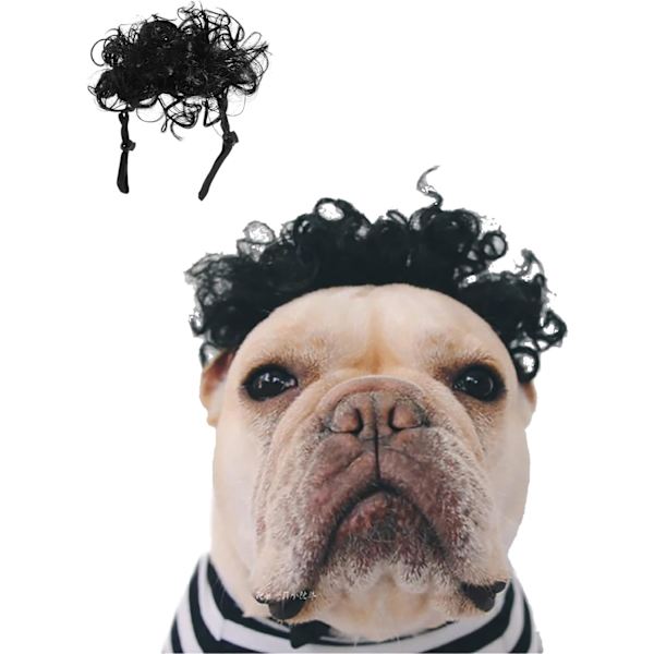 Hundefrisyre-Parukk (Afro), Parukk for Små og Mellomstore Hunder/Katter, Kjæledyrkostyme, Fotoshoot, Parukker, Søte Hårtilbehør