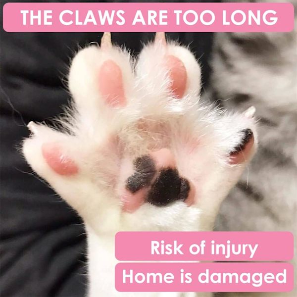 Rosa kattunge nagelklippare, katt nagelklippare, hund nagelklippare, hund nagelklippare med nagelfil, rostfritt katt nagelklippare, nagelklippare för valpkit