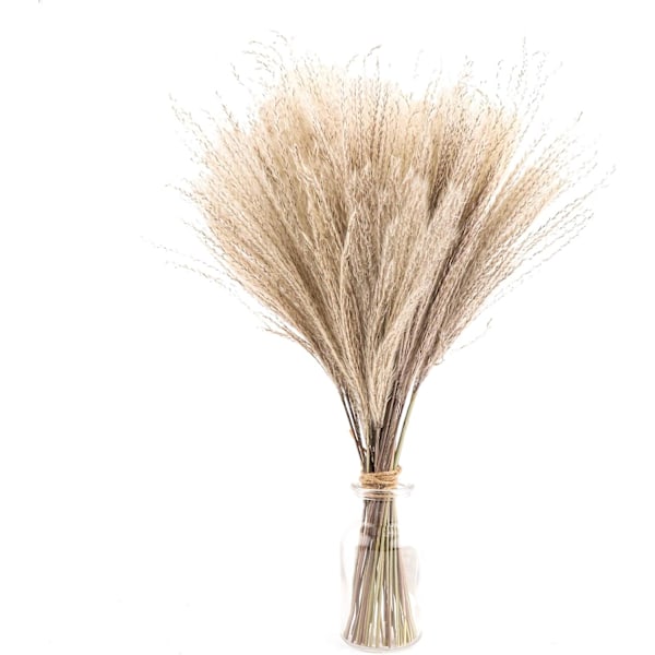 30 stk. 40 cm Kunstige Tørrede Pampasgræs Boheme Stil Hjemmedekoration Phragmites Tørrede Blomster til Vaser Hvid Blomsterbuket Bryllup