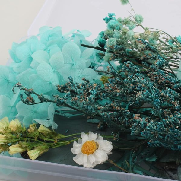 Naturlige Tørrede Blomster Tørrede Prægede Konserverede Blomster Harpiks Smykker DIY Lys Neglehåndværk Scrapbooking Blomsterdekoration
