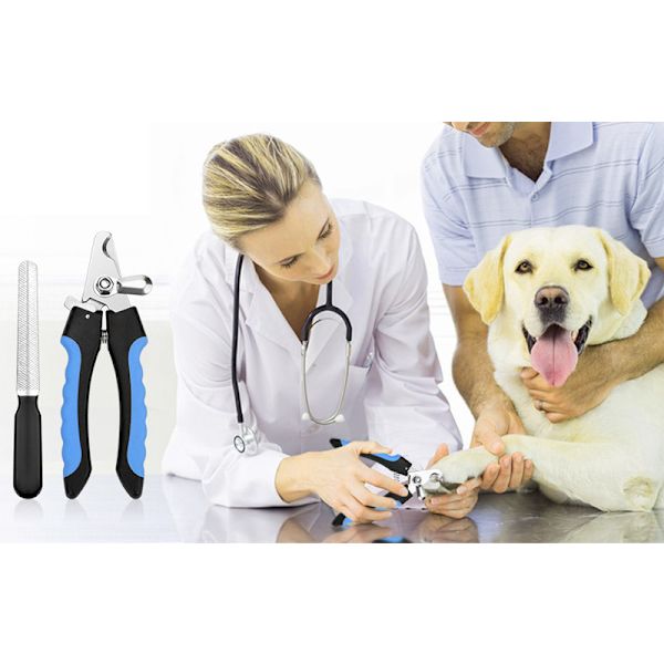 Hundekløftang til Hundekløftang og Kattekløftang - Rustfrit Stål Hundepleje Kløftang