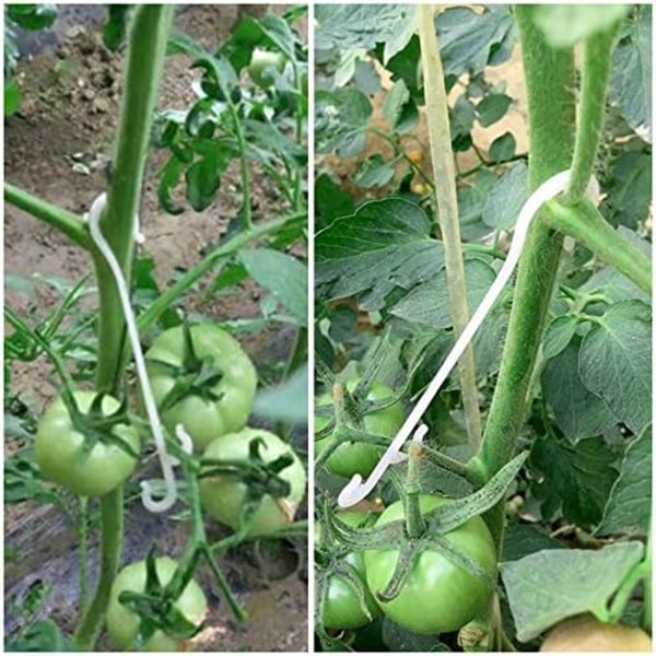 100 st 13 cm trädgårdsväxtfästklämmor, klätterväxtstöd, tomatklämmor, tomatsupport