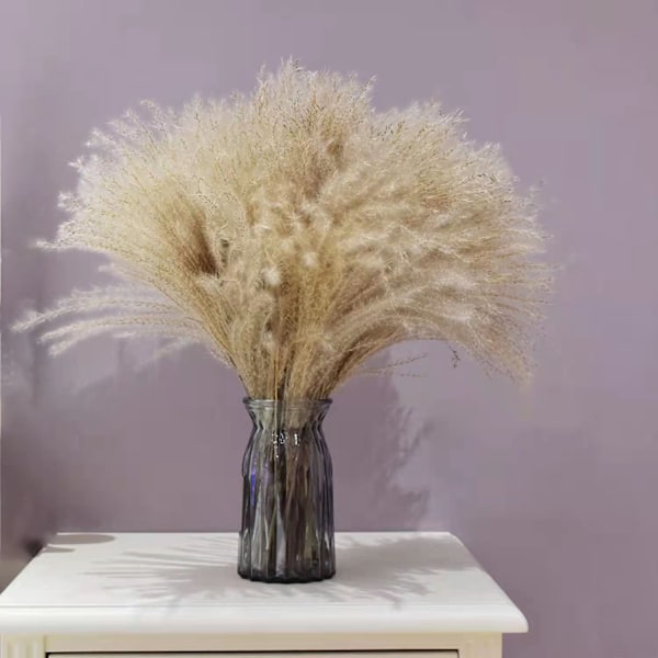 30 stk 40 cm Kunstig Tørket Pampasgress Bohemisk Stil Hjemmedekor Phragmites Tørkede Blomster til Vaser Hvit Blomsterbukett Bryllup
