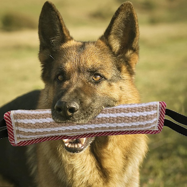 Bite Pudding Hundelegetøj, Bidende Pudding, Hundepuddinger, Jute Hundebidende Legetøj, Pudding Hundetræning, Interaktive Legetøj til Mellemstore til Store Hunde, Ideel til T