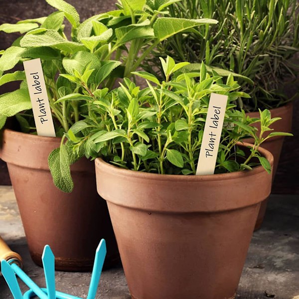 50 stk Holdbare Plante Etiketter, Pilformet Træ Plante Etiketter Vandafvisende Have Etiketter, Have Etiket til Blomster Grøntsager Frø Have Planteskole (14,9 x
