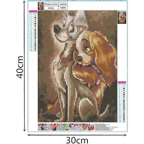 Diamantmålning, 30 x 40 cm 5D DIY Full Diamond, Diamantmålningskit för vuxna Strass Diamantkonst Hantverk för Hemväggsdekor