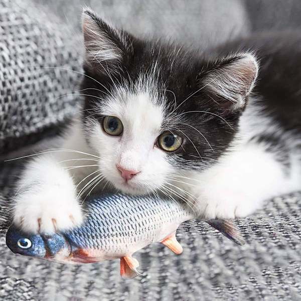 Elektronisk fiskleksak för katt, realistisk automatisk interaktiv katt leksak, plysch katt leksak kattmynta tuggleksak