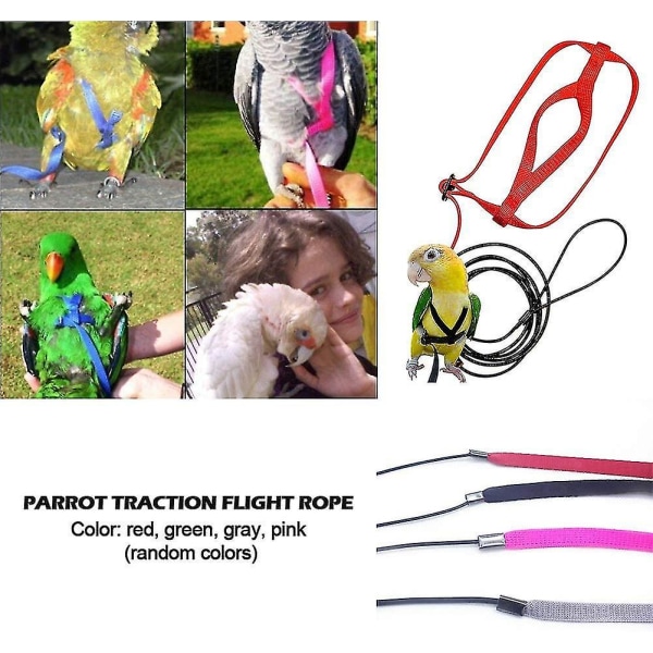Justerbar fågelsele Pet Fågelsele koppel Pet Anti-bett träningsrep utomhus flygsele XL