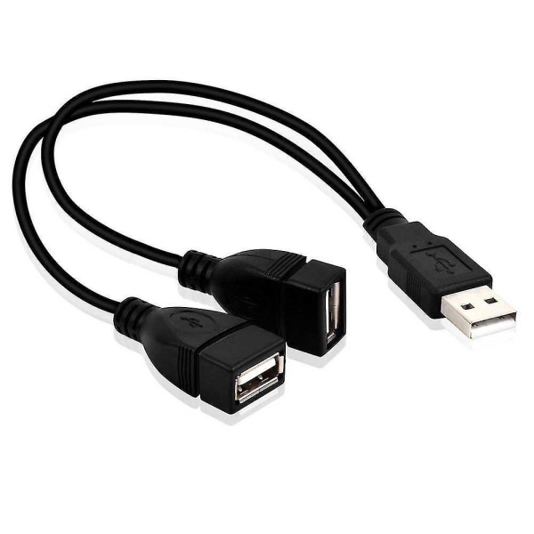 2 Port USB2.0 Hub USB 2.0 Hane Till 2 Dual USB Hona Jack Splitter Hub Power Adapter för PC