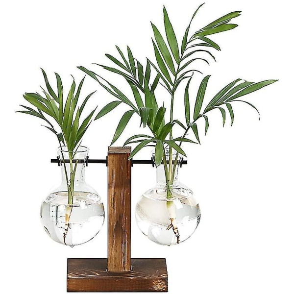 Vattenplantering Glasvas, Plant Terrarium Transparent Vas med träställ, Hydroponisk glasvas