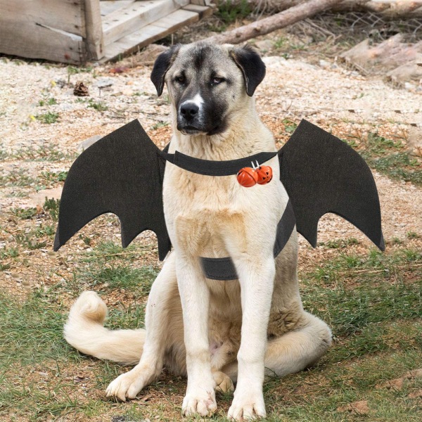 Hundfladdermuskostym - Halloween husdjursdräkt Bat Wings Cosplay Dog style 1