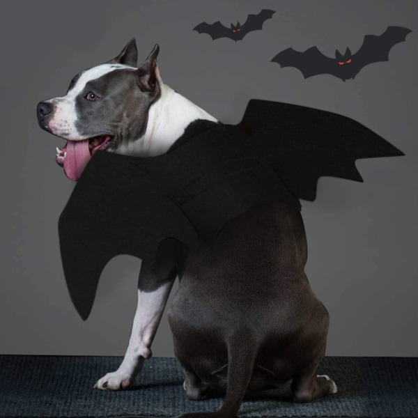 Hundfladdermuskostym - Halloween husdjursdräkt Bat Wings Cosplay Dog style 1