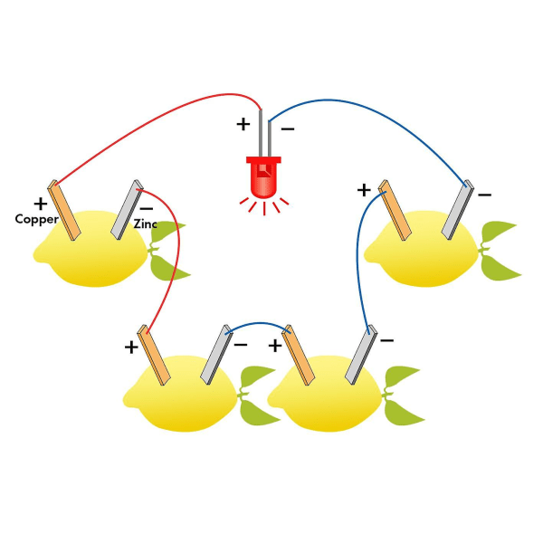 Fruktbatterisats Ljusdiod Apelsin Potatis Citrongenerator Vetenskapsprojekt Studentexperiment