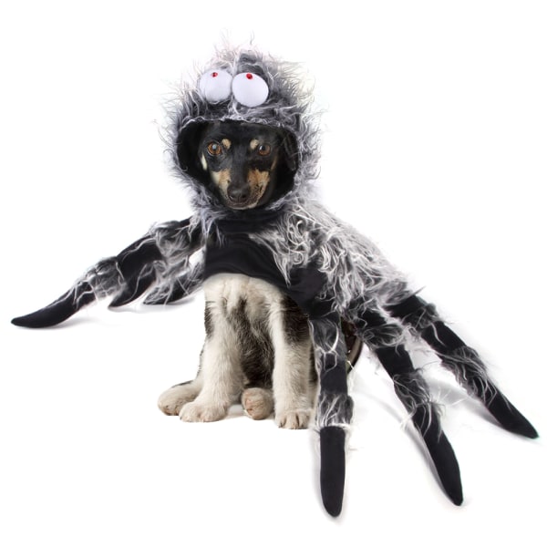 Halloween Pet Hund Katt Fladdermus Spindel Festklänning Cosplay kostym XL