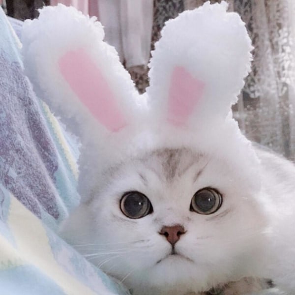 Cat Bunny Rabbit Ears Hat Cap Pet Cosplay Kostymer för Cat Small
