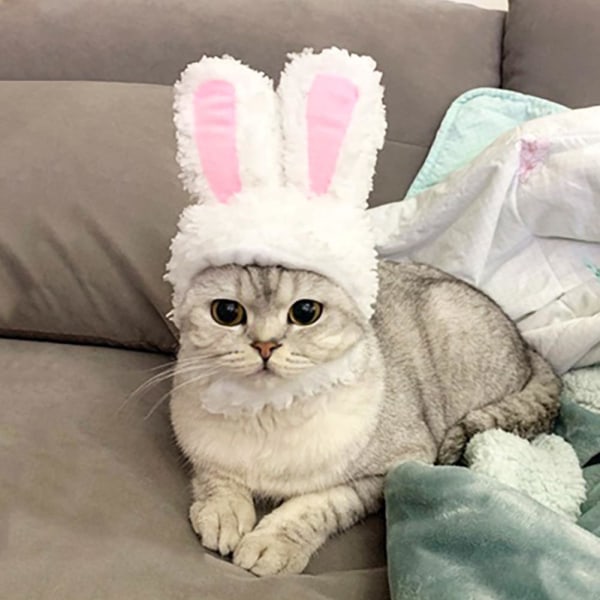 Cat Bunny Rabbit Ears Hat Cap Pet Cosplay Kostymer för Cat Small