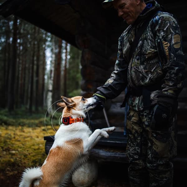 Hundpejl för jakt | Rex