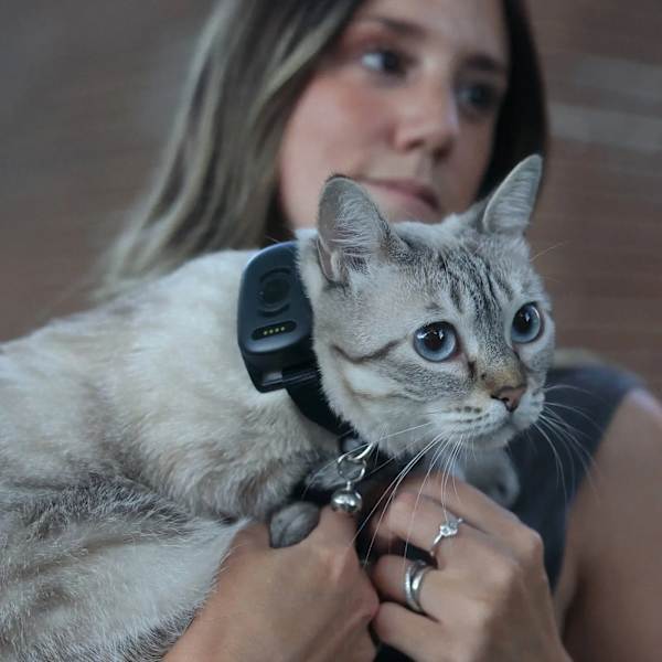 Katt GPS | MiniFinder Atto