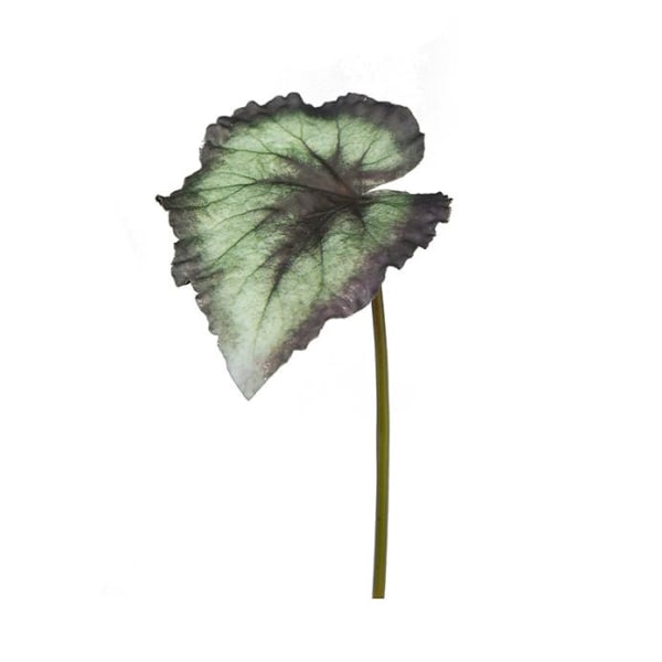 Mr Plant - Konstgjord Rexbegonia blad 20 cm Grön