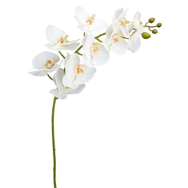 Mr Plant - Konstgjord Orkidéstjälk Phalaenopsis. 105 cm