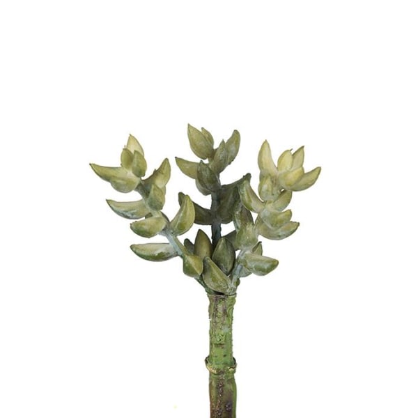 Mr Plant - Konstgjord Succulent 10 cm Grön