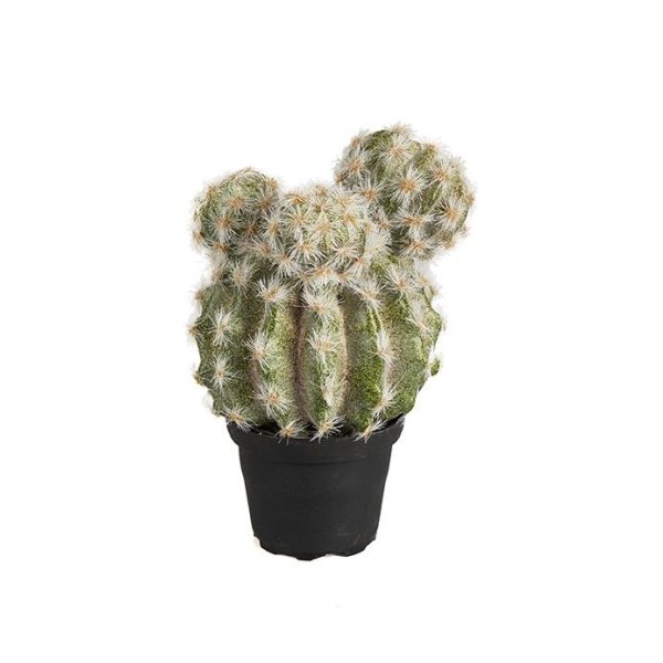 Mr Plant - Konstgjord Kaktus 20 cm