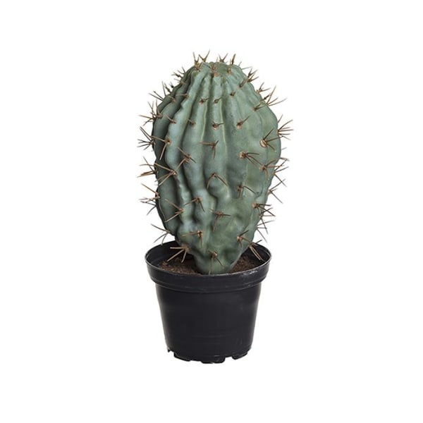 Mr Plant - Konstgjord Kaktus 18 cm Grön