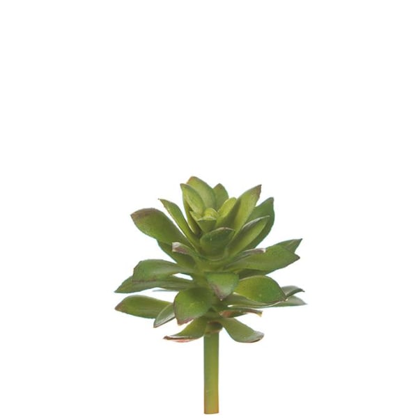Mr Plant - Konstgjord Echeveria 6 cm Grön