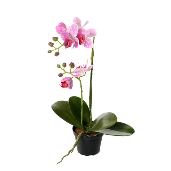 Mr Plant - Konstgjord Phalaenopsis 45 cm Dammiglila Grön