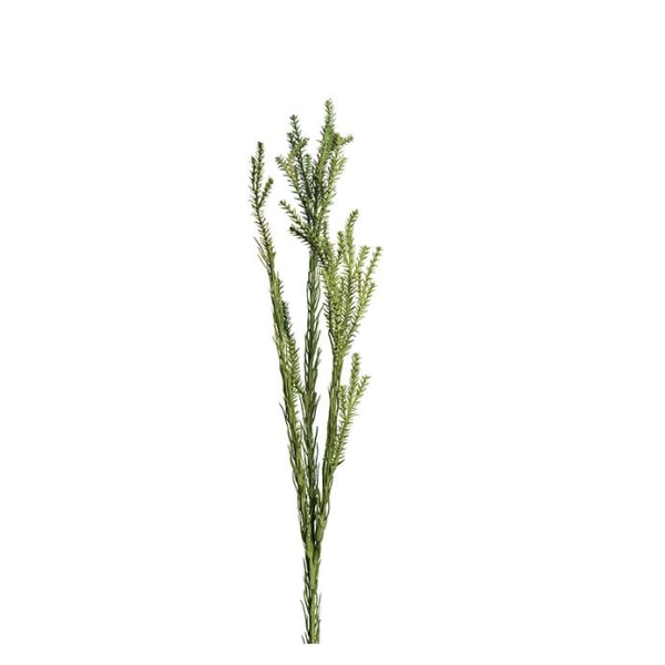 Mr Plant - Konstgjord Kvist 55 cm Grön
