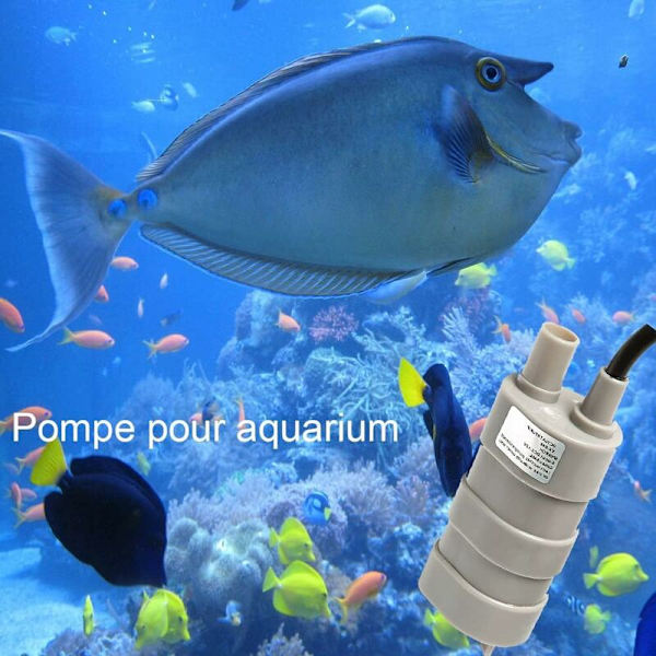 Sukeltava vesipumppu, 12V sukelluspumppu, 600L/H Mini sähköinen vesipumppu suihkulähdepumppu asuntoautoon, lampi, akvaario, akvaarion suihkulähde