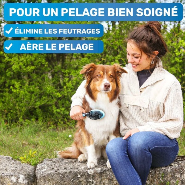 Dobbelt børste til hunde, katte og heste - skinnende og silkeagtig pels - dobbeltsidet pleje til at fjerne filt - beroligende massage og stimuleret blodcirkulation