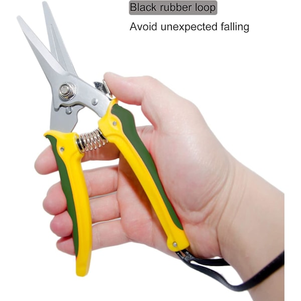 Fotsakser i karbonstål for geithover, sauer, 8'' lange