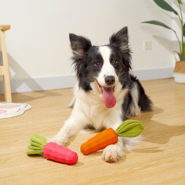 Gulerod Tyggelegetøj til Hunde - Blødt Gummitandbørste til Små, Mellemstore og Store Racer - Pink/Orange