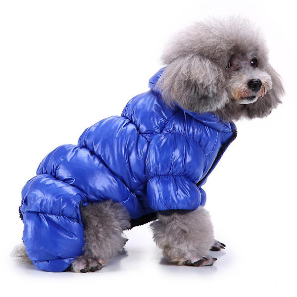 Husdjurskläder Hund Höst Och Vinter Varma Kläder Husdjur Fyrbenta Huvtröja Husdjur Blå Kläderxl