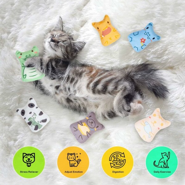 PET PRODUCTS KATTLEKSAKER Kattkonnotation Catnip Färgskrapa Färg Kattleksak 6-delad uppsättning