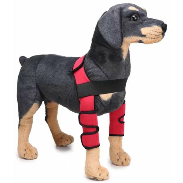 Knäskydd för hundar, hundbensskydd, hundbensskydd, husdjursskydd, hundkirurgisk skadeskydd (röd L)