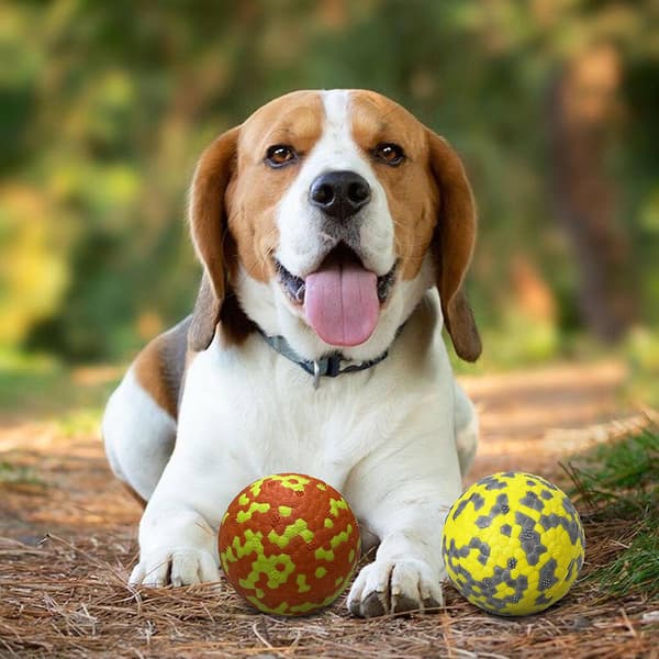 Flydende hundeboldlegetøj, Anti-Bite Etpu Pet Legetøj til rensning af tænder, meget elastisk, 2,5"/3"