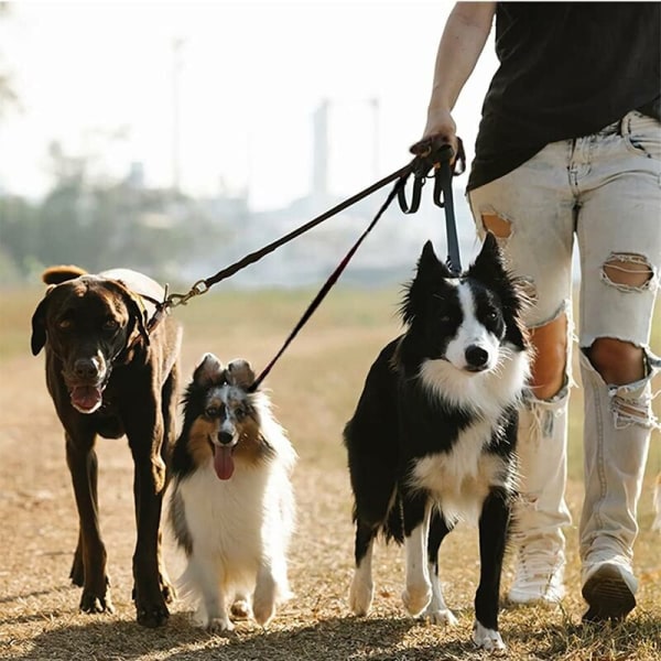 3 i 1 hundkoppel, Triomphe Avtagbart hundkoppel 3-vägs koppel Trippeljusterbart hundkoppel i nylon för promenader Jogging för hundar Flera husdjur (svart)
