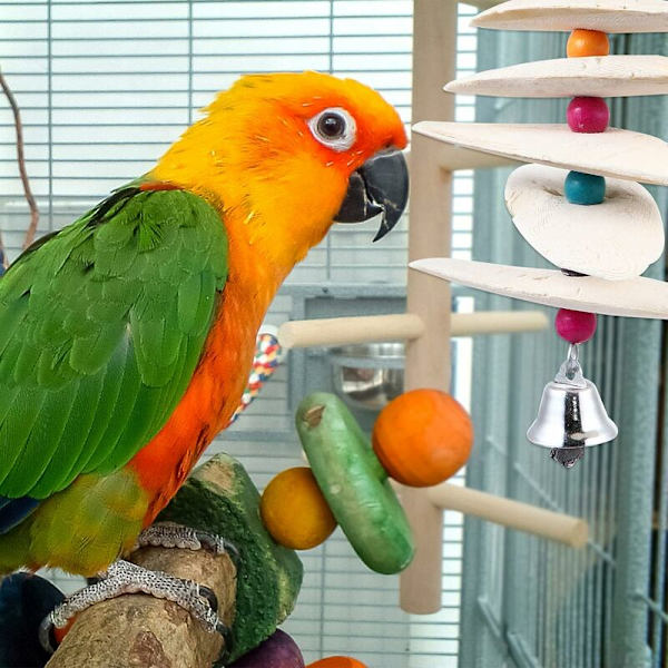 Budgie Papegoja Cuttlebone Bowl Tuggleksaker Cuttlebone Näbb Knot Sten Hängande Bur Bell Leksak Kalcium Fågel Seed.