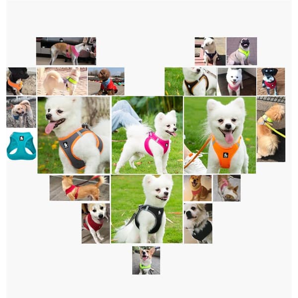 Hunddragrep sjö, orange husdjursutrustning L