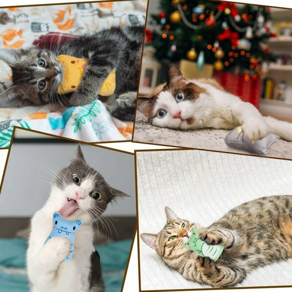 PET PRODUCTS KATTLEKSAKER Kattkonnotation Catnip Färgskrapa Färg Kattleksak 6-delad uppsättning