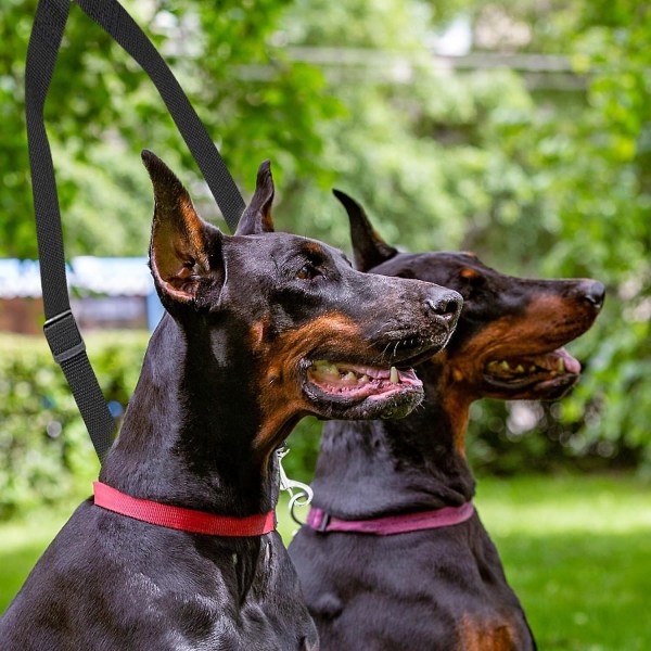 Dubbel hundkoppel, justerbart dubbelt husdjursträningskoppel, dubbelt koppel för två hundar, trasselfritt (svart)