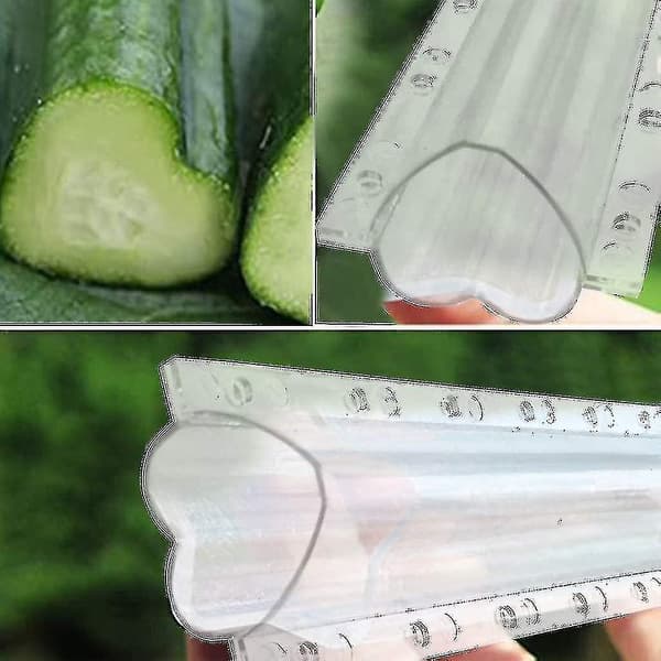Gurkaform Grönsaksfrukt Planteringsform Tillväxtobservation Transparent 4st