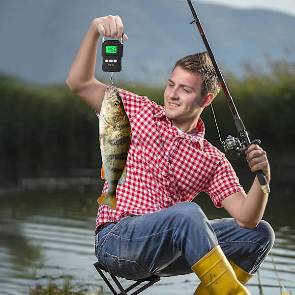 165lb/75kg Bakgrundsbelyst LCD-skärm Bärbar Elektronisk Balans Digital Fiskhake Kranvåg